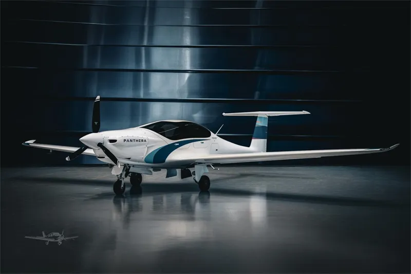 2025 Pipistrel Panthera
