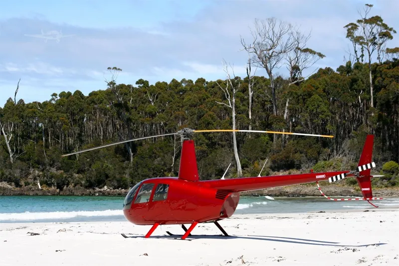 2007 Robinson R44 Raven II for sale