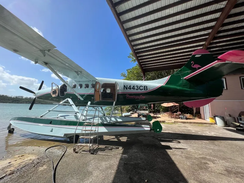 1961 De Havilland DHC-3 for sale