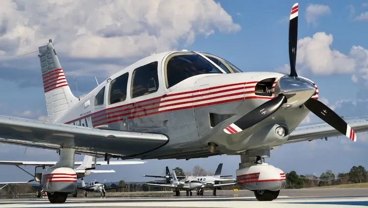 Piper Dakota