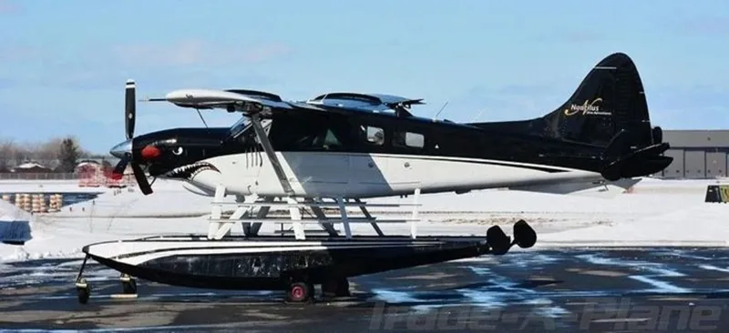 DEHAVILLAND DHC-2T for sale