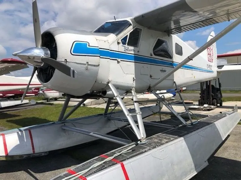 1951 De Havilland DHC-2 for sale