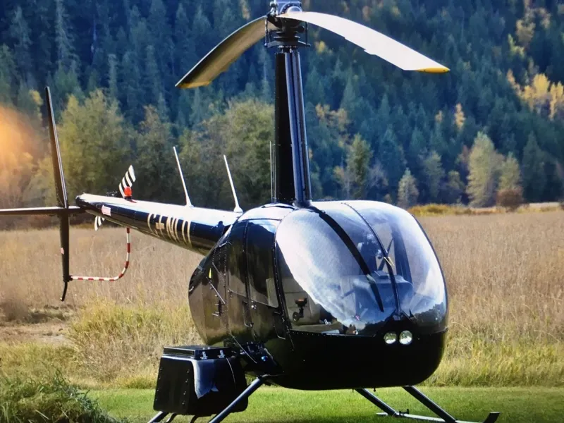 2004 Robinson R44 Raven II for sale