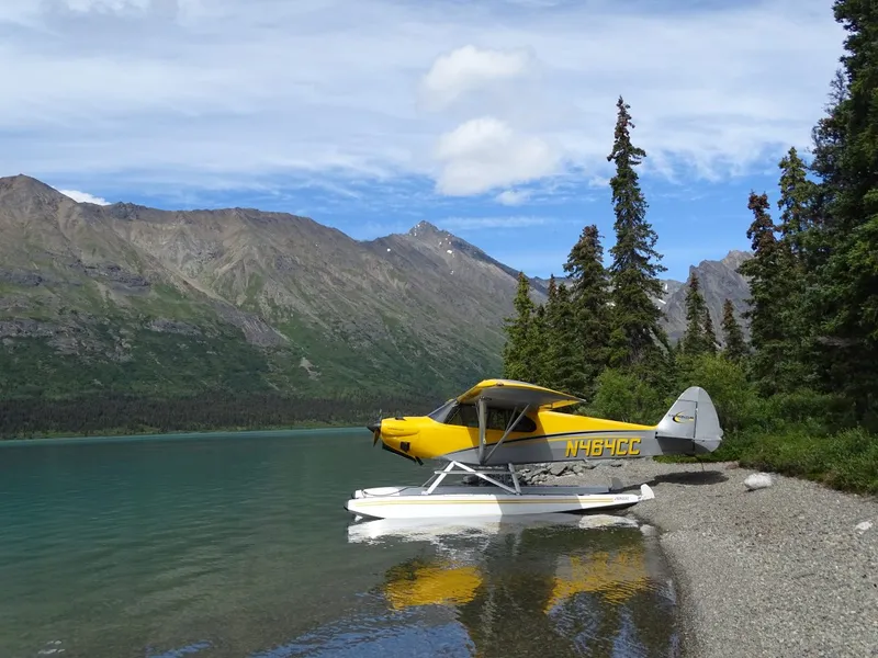 2016 Cubcrafters Carbon Cub Ss