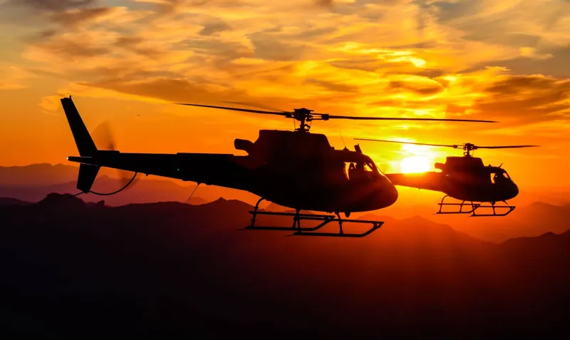 1996 MD Helicopters MD900