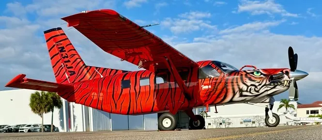 2010 Daher Kodiak 100 for sale