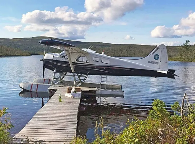 1956 De Havilland DHC-2 for sale