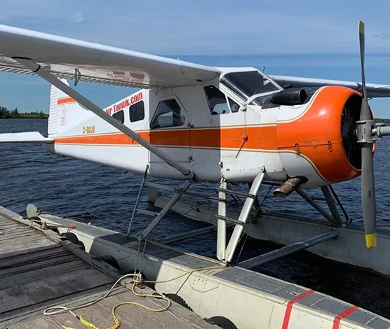 1967 De Havilland DHC-2 MK I for sale
