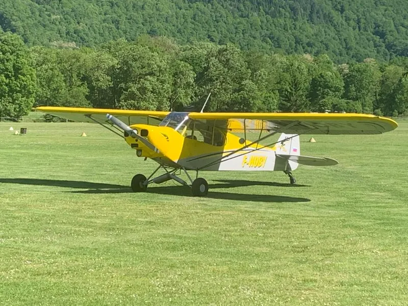 1979 Piper Super Cub for sale
