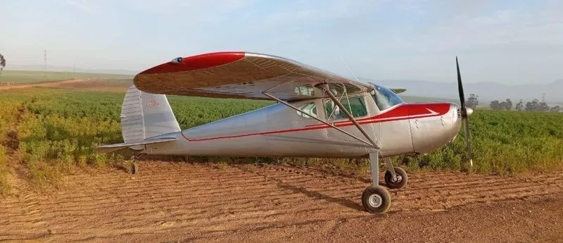 CESSNA Cessna 140 for sale