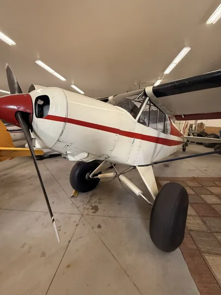 1956 Piper Super Cub for sale
