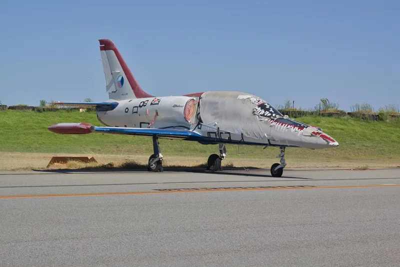 1976 Aerovodochody Vodochody L-39 Albatros C