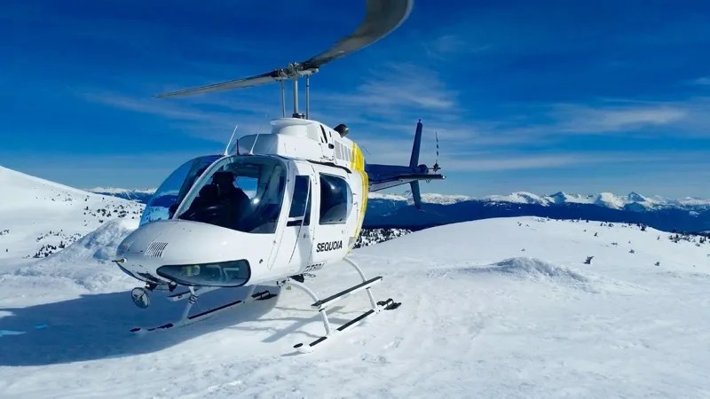 1979 Bell 206 JetRanger for sale