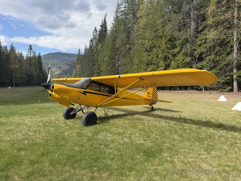 Cubcrafters CARBON CUB UL for sale