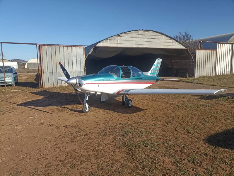 2008 Alpi Aviation 300 Pioneer