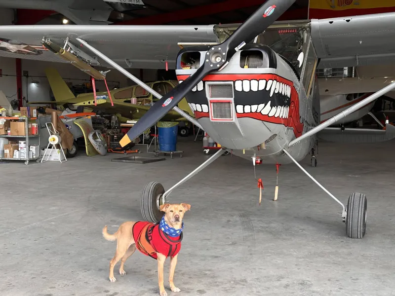 1961 Cessna 305/L-19 Bird Dog