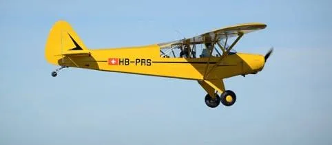 1951 Piper Super Cub for sale