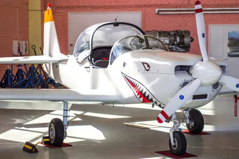 1987 Slingsby T-67 Firefly M200 G5 for sale
