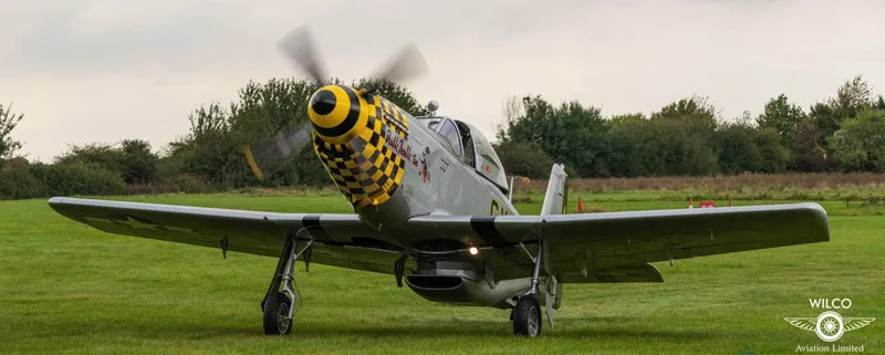 2021 Titan T-51D Mustang for sale