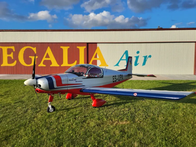 2001 Alpi Aviation Pioneer 200