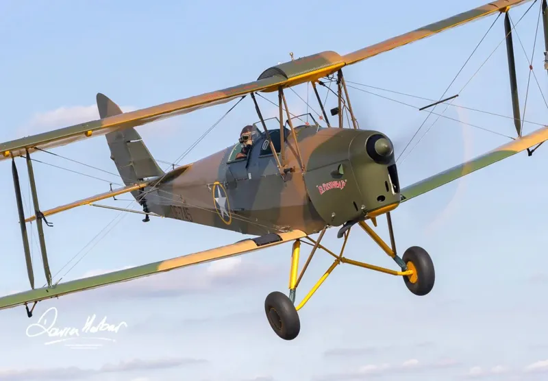 1944 De Havilland Havilland DH82a Tiger Moth 20% Equity Share