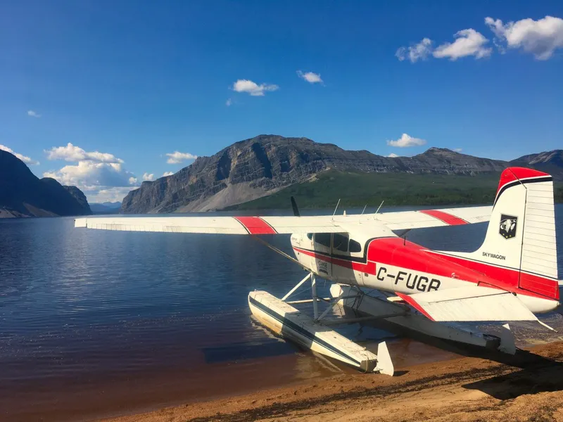 1966 Cessna 180H for sale