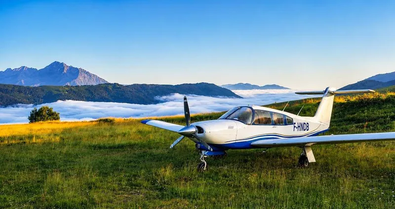 Piper Arrow