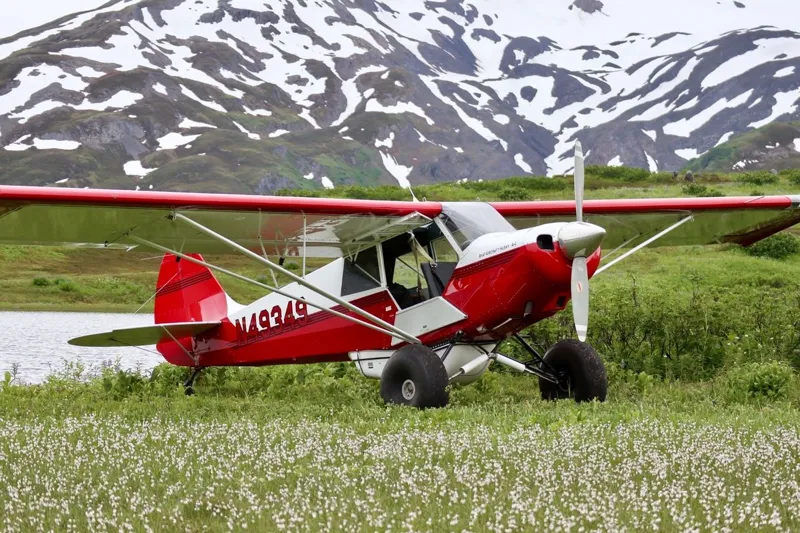 1991 Aviat A-1 Husky for sale