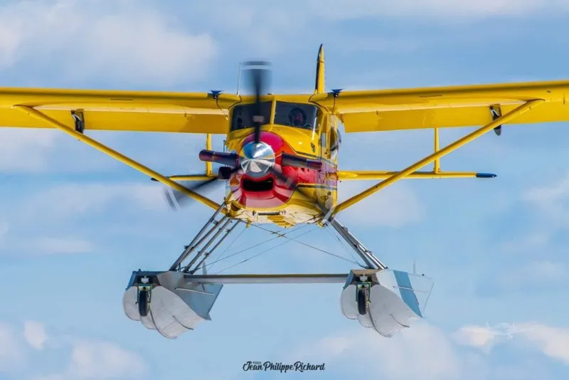 DEHAVILLAND DHC-2T for sale