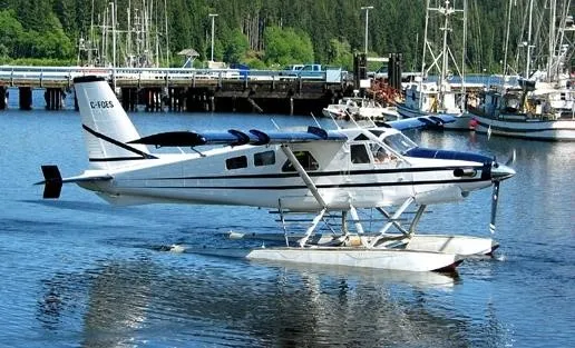 1967 De Havilland DHC-2T for sale