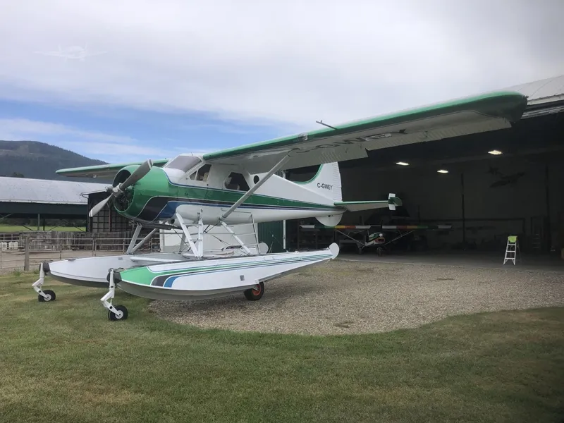 1953 De Havilland DHC-2 for sale