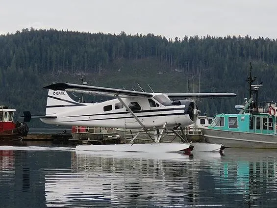 1955 De Havilland DHC-2 for sale