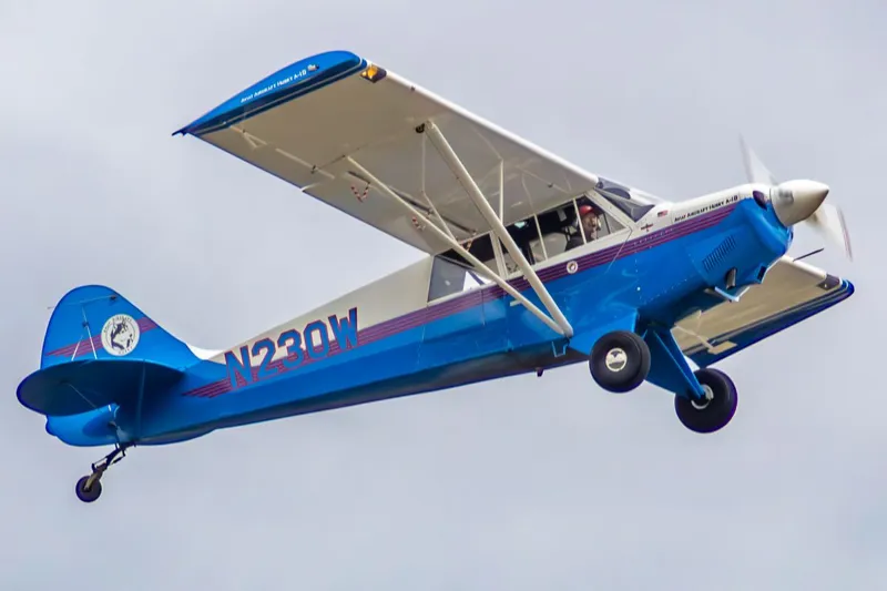 2003 Aviat A-1B Husky for sale