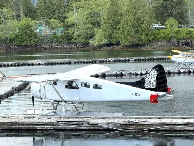 1952 De Havilland DHC-2 for sale