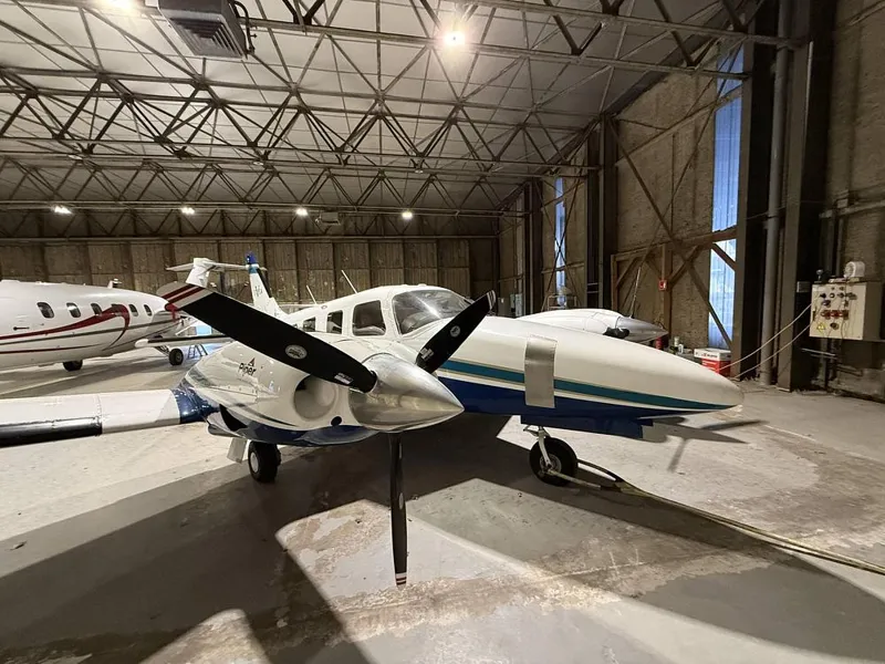 Piper Seneca