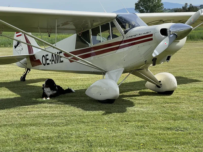 1990 Aviat A-1 Husky for sale