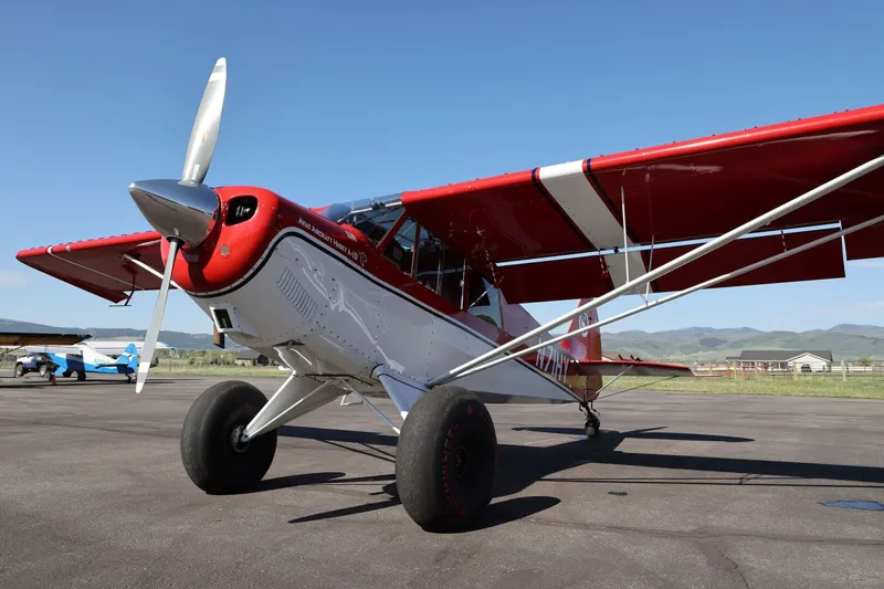 Aviat A-1B Husky for sale