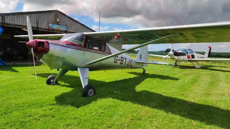 LUSCOMBE 8 F Silvaire for sale
