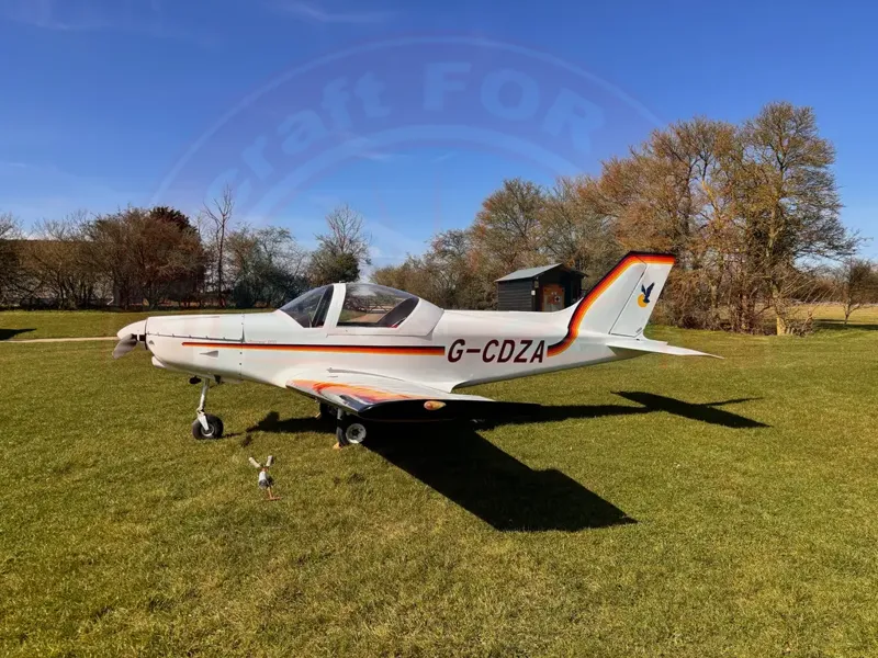 Alpi Aviation Pioneer 300 for sale