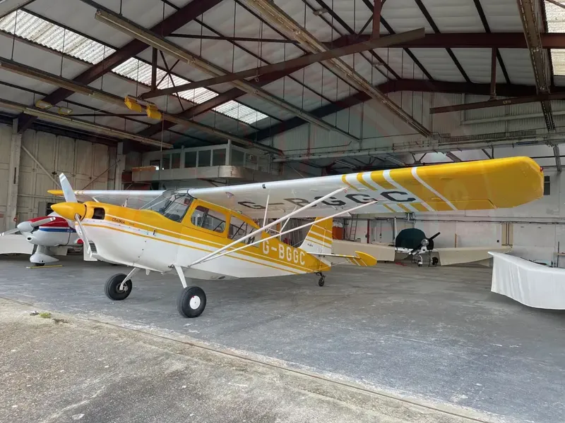 American Champion Citabria