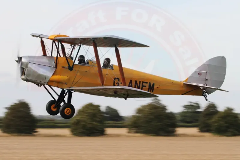 1940 De Havilland DH82A for sale