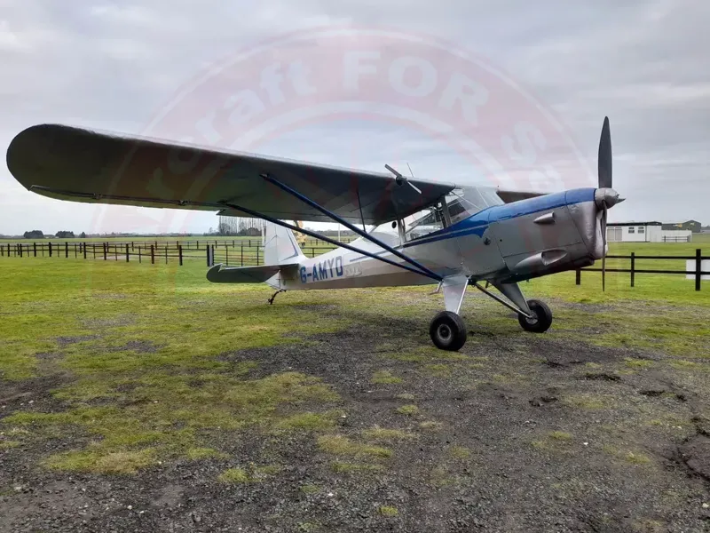 AUSTER J5L AIGLET for sale