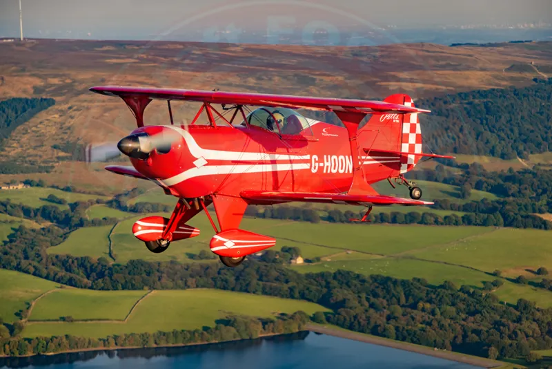 Pitts S-1S for sale