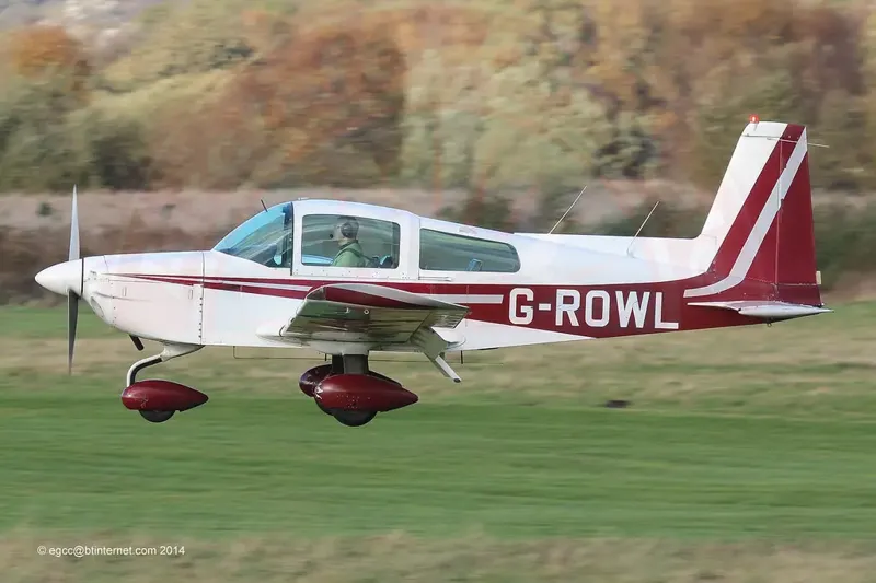 GRUMMAN Tiger for sale for sale
