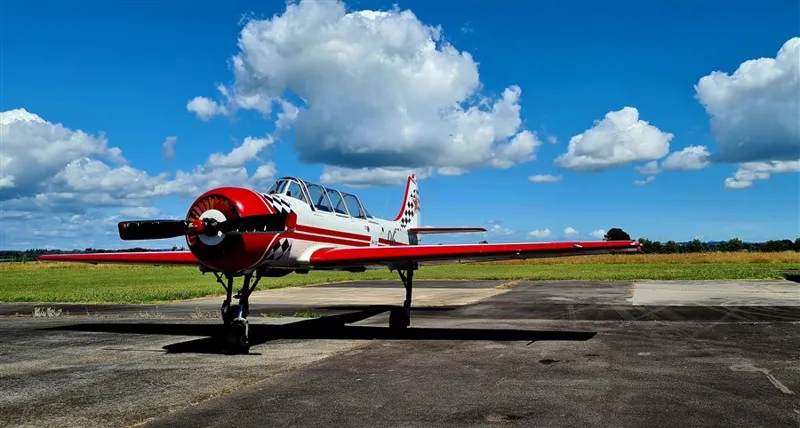 1996 Yakovlev Yak-52 for sale