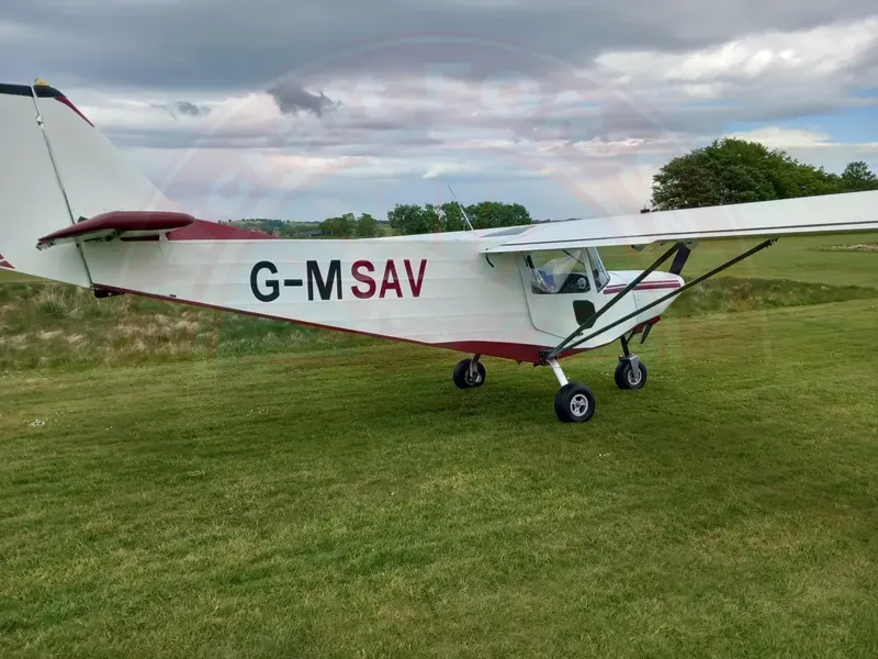 ICP Savannah Vg for sale
