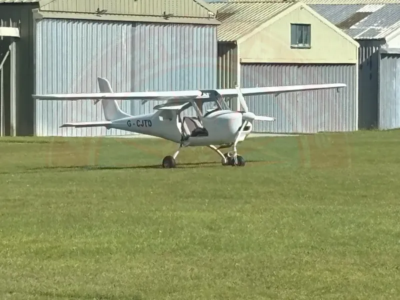 Merlin Merlin for sale