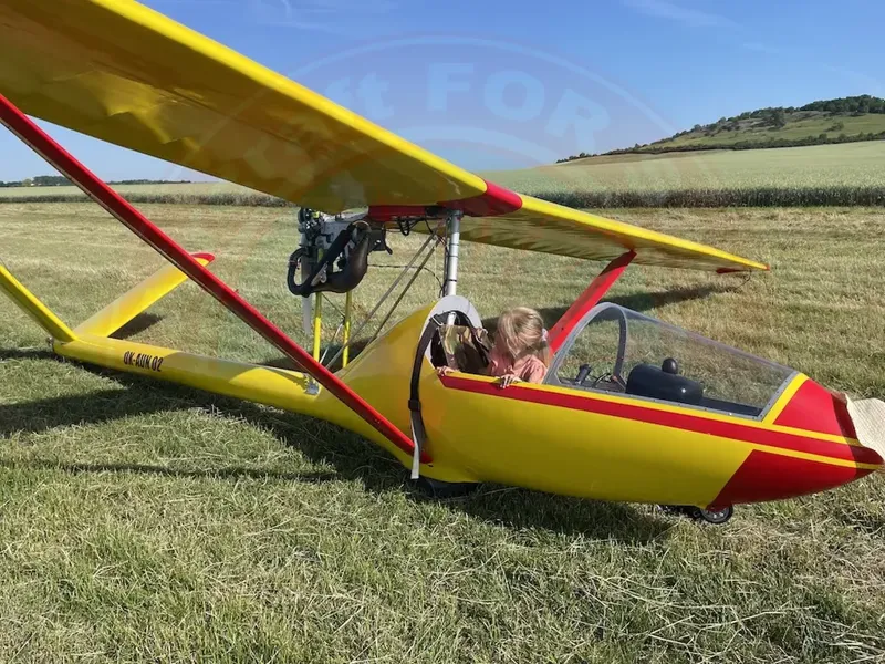 STRATON Ultralight STRATON D 7 Mini for sale â‚¬7200 for sale