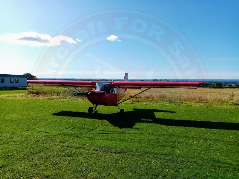 ICP Savannah Classic for sale