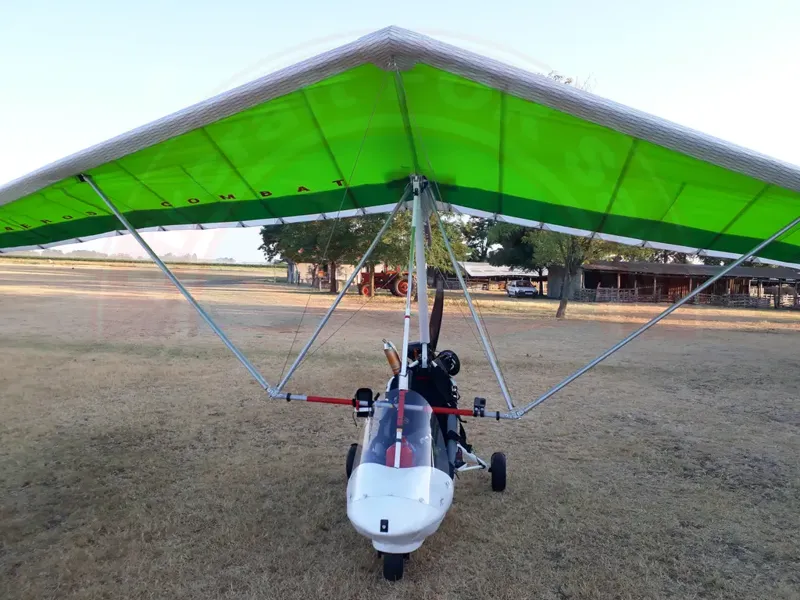 AEROS Beloved Aeros Ant trike with Combat12T wing for a good sale for sale